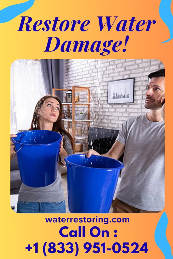 water restoration Apex Water Restoration Solutions North Acomita Village