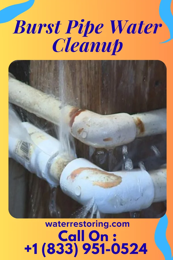 Burst Pipe Water Cleanup in North Acomita Village, NM
